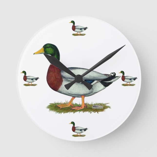 Reloj Redondo Mediano Mallard Duck Drake (Anverso)