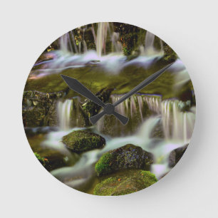 Reloj Redondo Mediano Manantial de helechos, Parque Nacional Yosemite, C