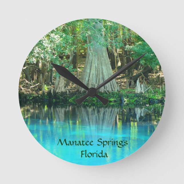 Reloj Redondo Mediano Manatee Springs Fl Wall Clock (Anverso)