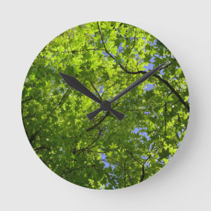 Reloj Redondo Mediano Maple in Spring
