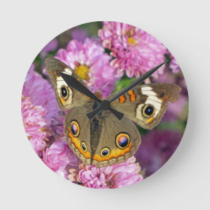 Reloj Redondo Mediano Mariposa Buckeye común