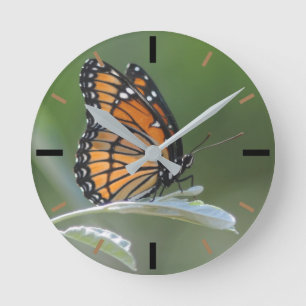 Reloj Redondo Mediano Mariposa descansando en una hoja