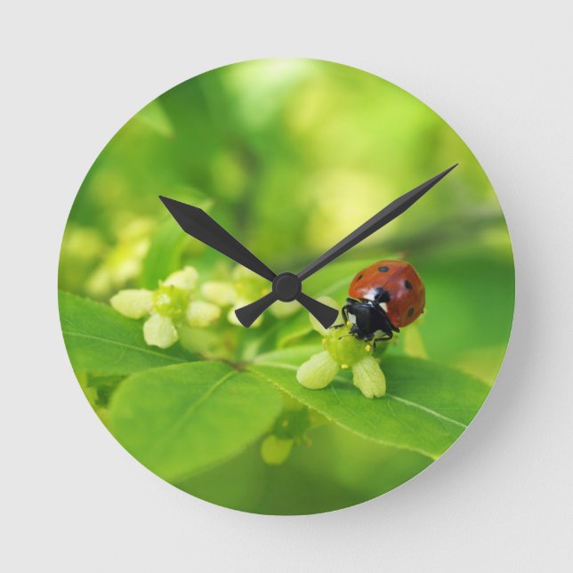 Reloj Redondo Mediano Mariquita roja (Anverso)