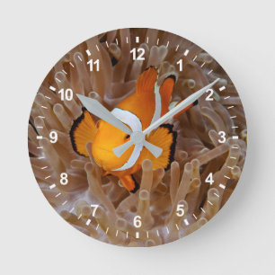 Reloj Redondo Mediano Marisco - Molokai, acantilado de la costa norte
