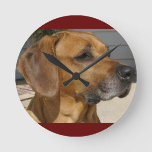 Reloj Redondo Mediano Mascota de la raza del perro de RHODESIAN
