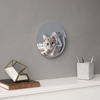 Reloj Redondo Mediano Mascota Gato Bonito