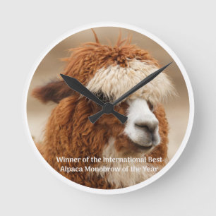 Reloj Redondo Mediano Mejor Monocelda de Alpaca
