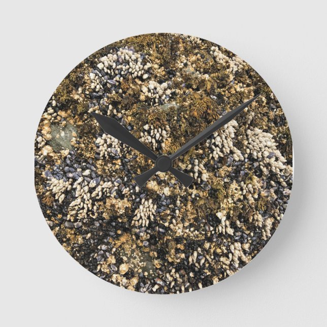 Reloj Redondo Mediano Meyers Beach North, Gold Beach, Oregon (Anverso)