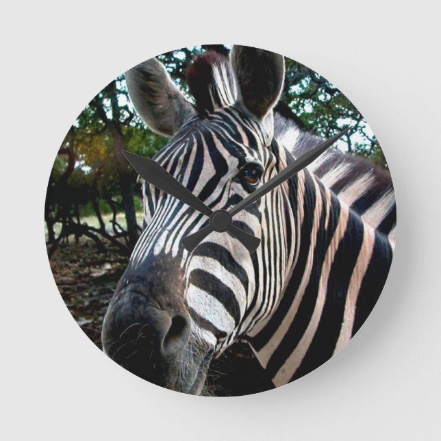 Reloj Redondo Mediano Mi amigo strippy (Anverso)