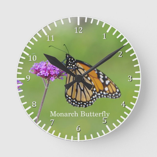 Reloj Redondo Mediano Monarch Butterfly clock (Anverso)