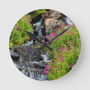 Reloj Redondo Mediano Monkeyflower En El Creek Del Almuerzo En Glaciar