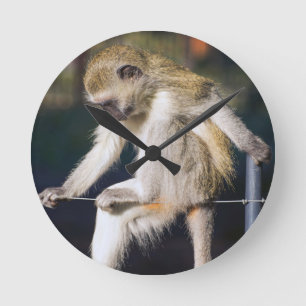 Reloj Redondo Mediano Mono