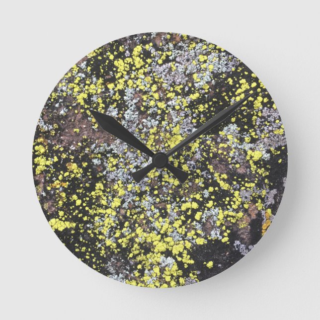 Reloj Redondo Mediano moss #5 (Anverso)