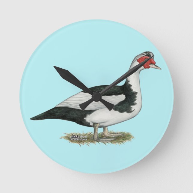 Reloj Redondo Mediano Muscovy Black Pied Drake (Anverso)