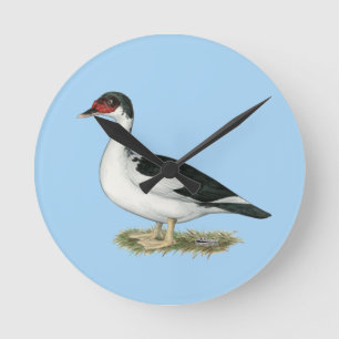 Reloj Redondo Mediano Muscovy Black Pied Duck