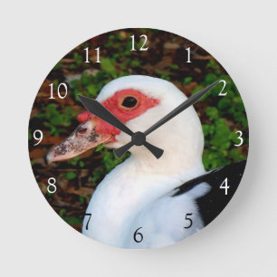 Reloj Redondo Mediano Muscovy Duck Round Clock