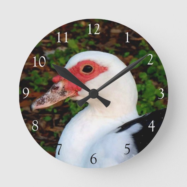 Reloj Redondo Mediano Muscovy Duck Round Clock (Anverso)