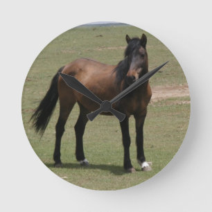 Reloj Redondo Mediano Nacoma Mustang