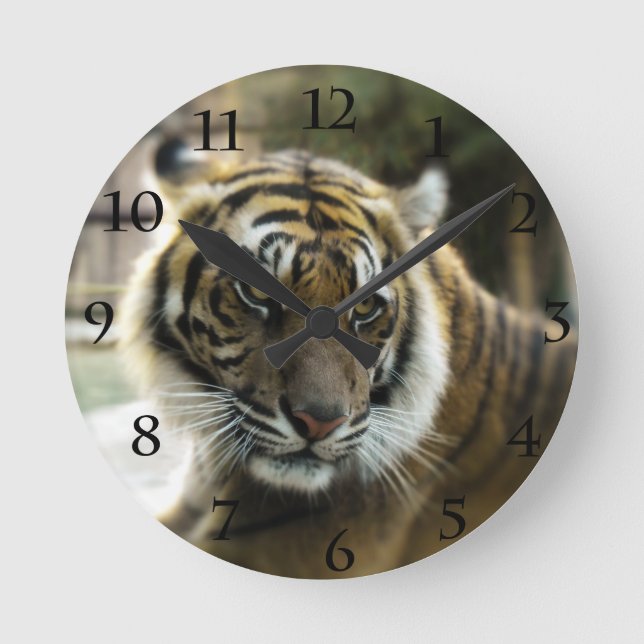 Reloj Redondo Mediano Naranja con rayas negras foto de tigre de Bengala (Anverso)