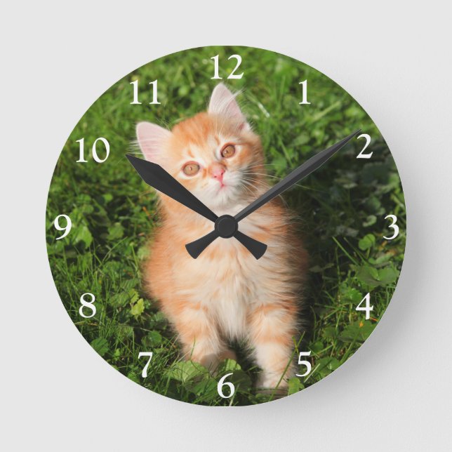 Reloj Redondo Mediano Naranja suave y suave Tabby Cat Kitten (Anverso)