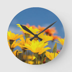 Reloj Redondo Mediano Naranja Y Amarillo Namaqualand Daisies