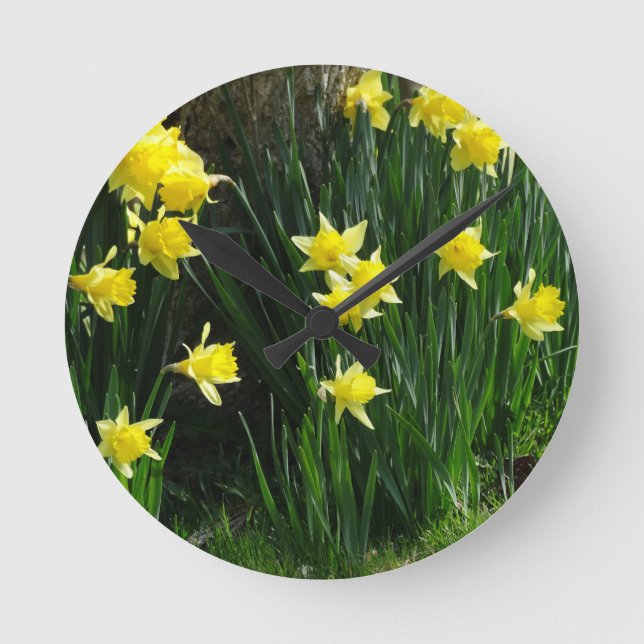 Reloj Redondo Mediano Narcisos de la primavera (Anverso)
