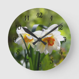 Reloj Redondo Mediano Narcisos delicados y lindos de primavera