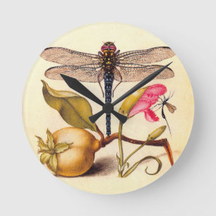 Reloj Redondo Mediano Naturaleza Botánica Libélula Hoefnagel Arte