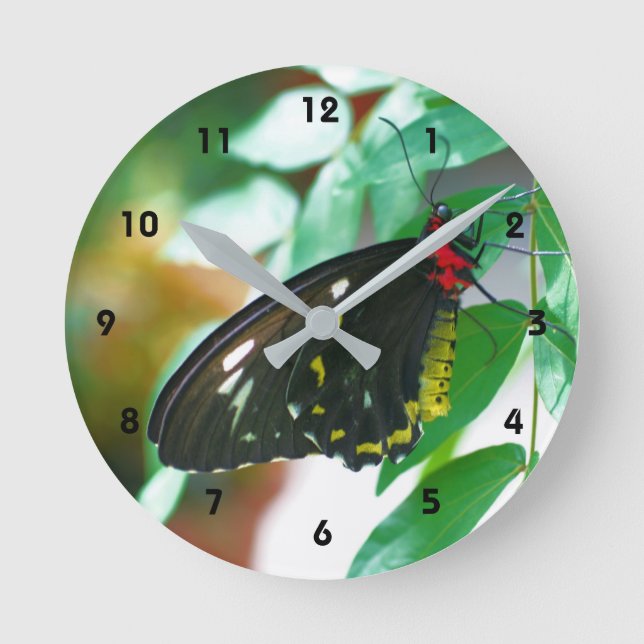 Reloj Redondo Mediano Naturaleza de la mariposa negra (Anverso)