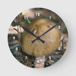 Reloj Redondo Mediano Naturaleza del hongo marrón silvestre único