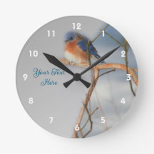 Naturaleza del pájaro azul personalizada