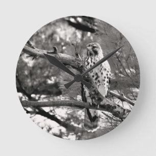 Reloj Redondo Mediano Naturaleza negra y blanca Halcón rojo con hombro -