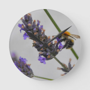 Reloj Redondo Mediano Naturas trabajadores maravillosos