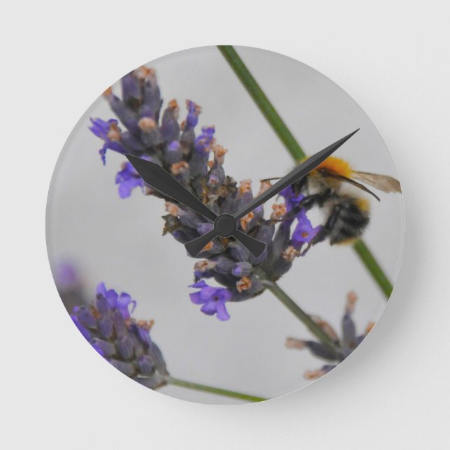 Reloj Redondo Mediano Naturas trabajadores maravillosos (Anverso)