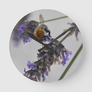 Reloj Redondo Mediano Naturas trabajadores maravillosos