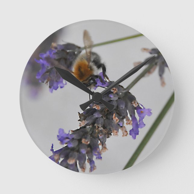 Reloj Redondo Mediano Naturas trabajadores maravillosos (Anverso)