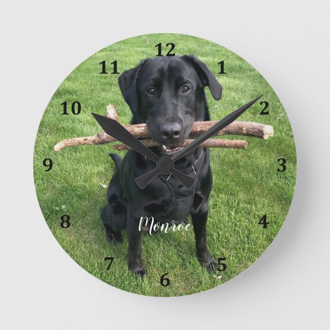 Reloj Redondo Mediano Nombre y foto personalizados del Mascota de perro (Anverso)