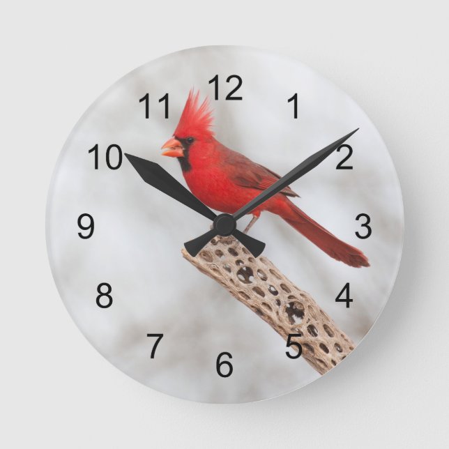 Reloj Redondo Mediano Northern Cardinal on a branch (Anverso)