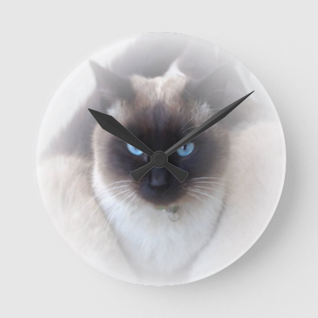 Reloj Redondo Mediano Ojos azules gato siamés (Anverso)