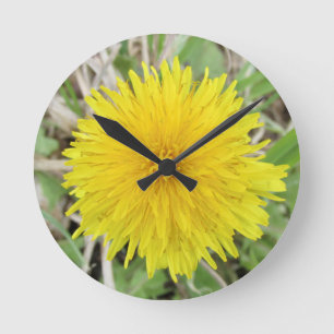 Reloj Redondo Mediano Orgullosa flor de Dandelion.