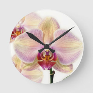 Reloj Redondo Mediano Orquídea Morada Pastel Elegante en Flor