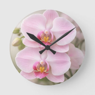 Reloj Redondo Mediano Orquídea Phalaenopsis Rosa Suave