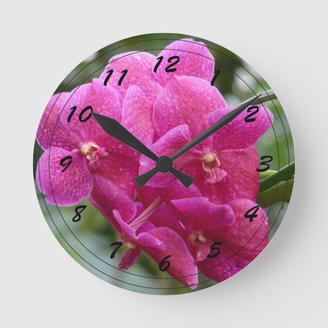 Reloj Redondo Mediano Orquídea Vanda Rosa (Anverso)
