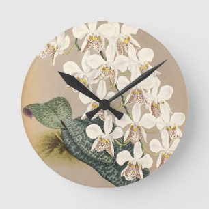 Reloj Redondo Mediano Orquídeas