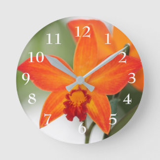 Reloj Redondo Mediano Orquídeas Tropicales
