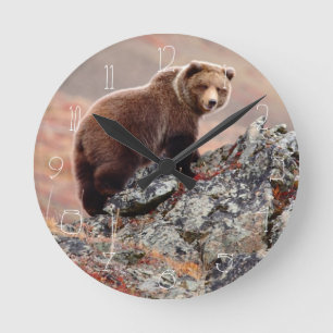 Reloj Redondo Mediano Oso de Denali Brown