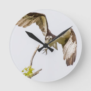 Reloj Redondo Mediano Osprey viniendo hacia ti