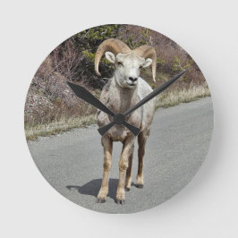 Reloj Redondo Mediano Oveja de Cuerno Grande