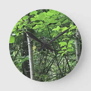 Reloj Redondo Mediano Owl in the Trees, Oregon