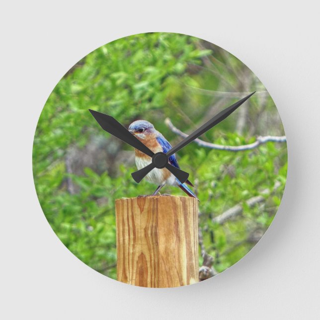 Reloj Redondo Mediano Pájaro azul en una valla (Anverso)